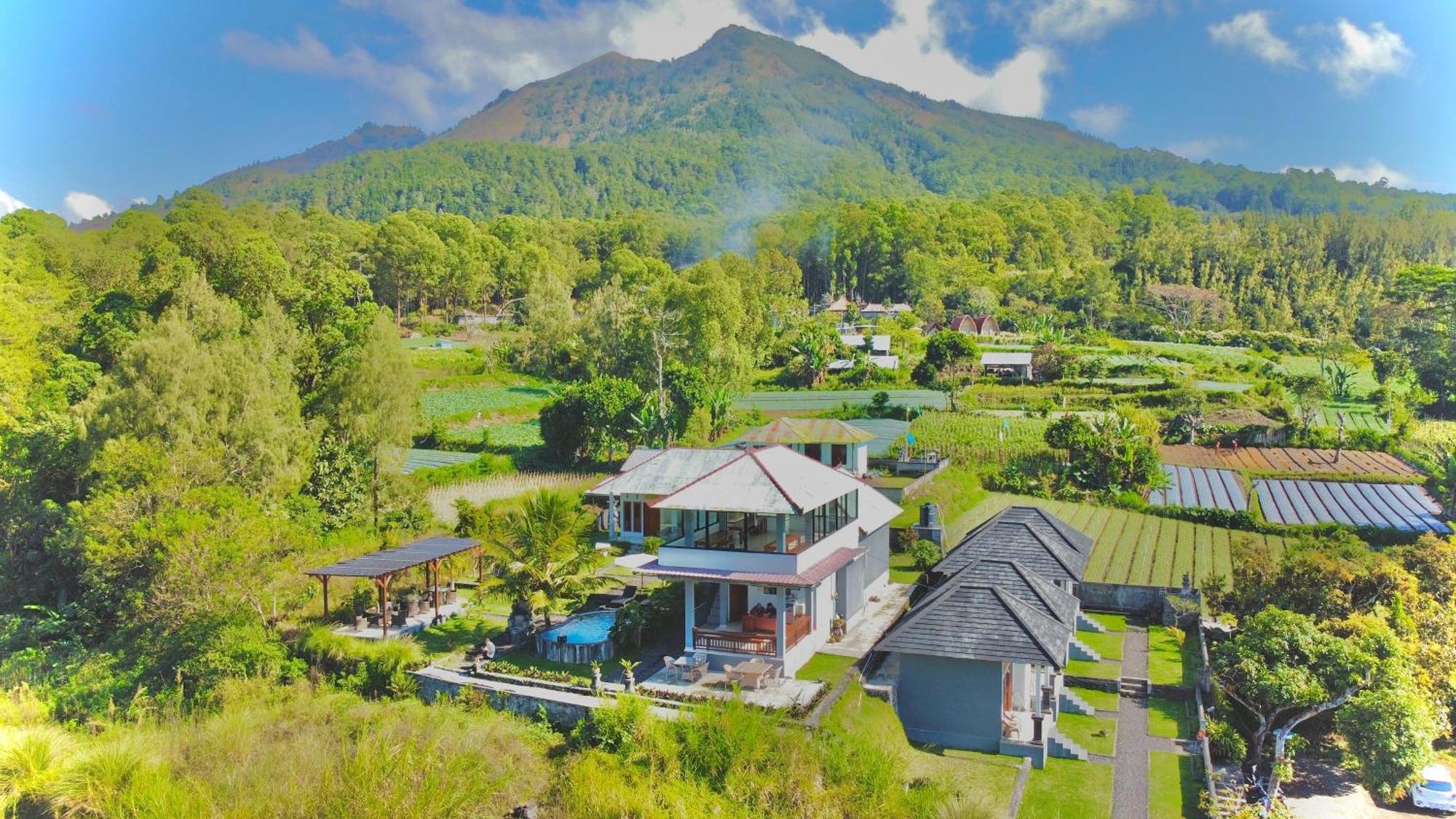 Batur Volcano Guesthouse Кинтамани Экстерьер фото
