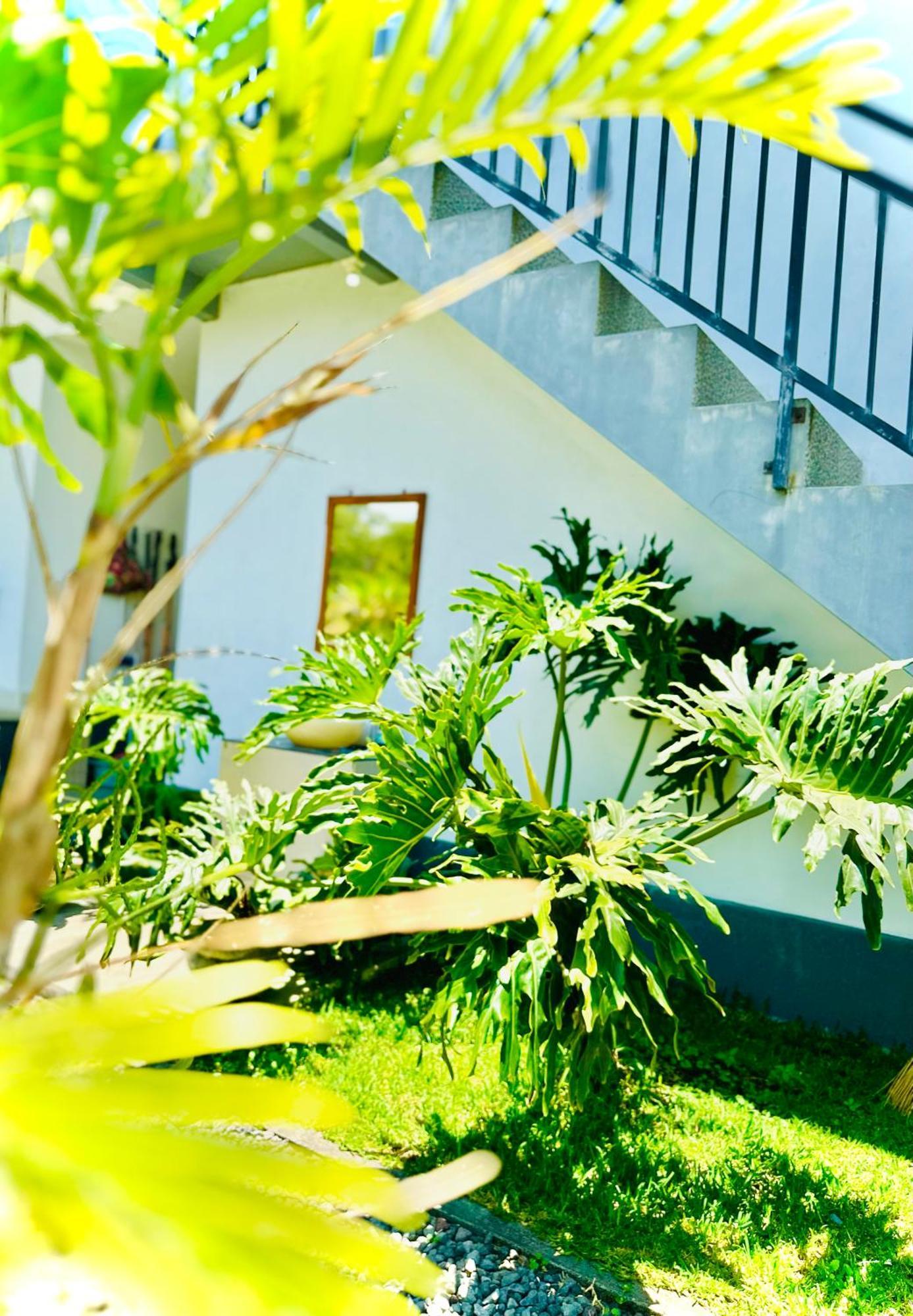 Batur Volcano Guesthouse Кинтамани Экстерьер фото